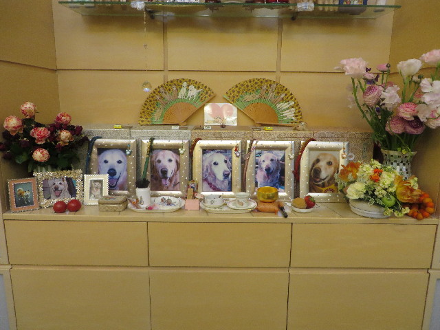 ファイル 4184-3.jpg