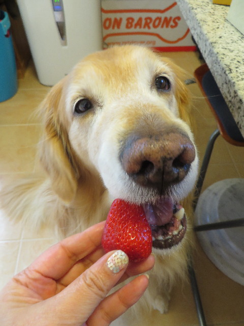 ファイル 4184-4.jpg