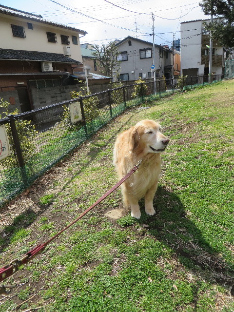 ファイル 4185-1.jpg