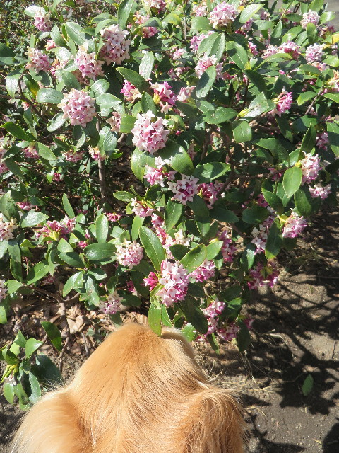 ファイル 4185-2.jpg