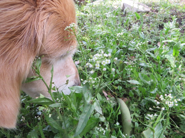 ファイル 4185-5.jpg