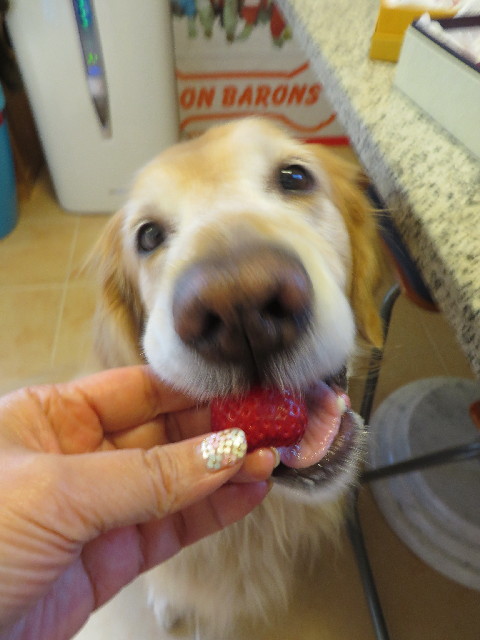 ファイル 4186-1.jpg