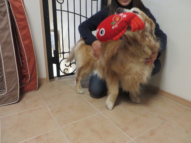 ファイル 4186-3.jpg