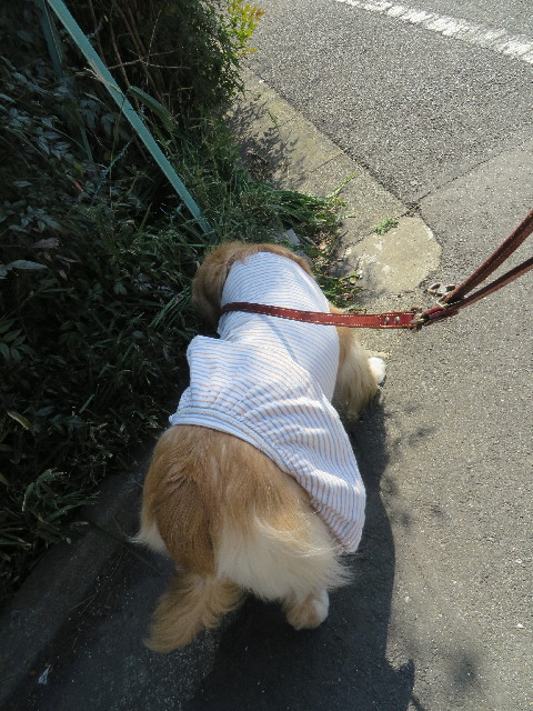 ファイル 4186-4.jpg