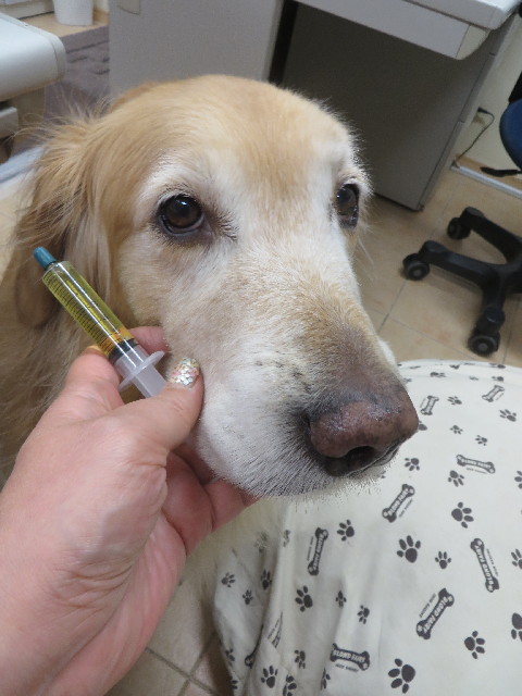 ファイル 4186-5.jpg