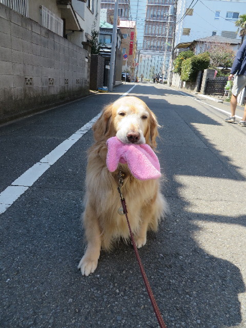 ファイル 4189-1.jpg