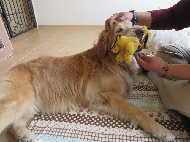 ファイル 4189-2.jpg