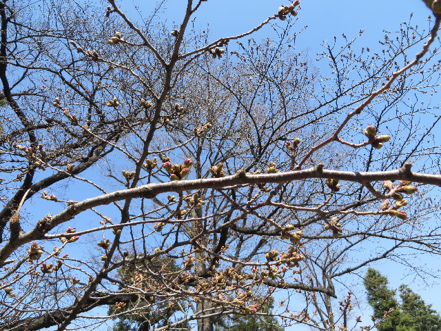 ファイル 4190-2.jpg