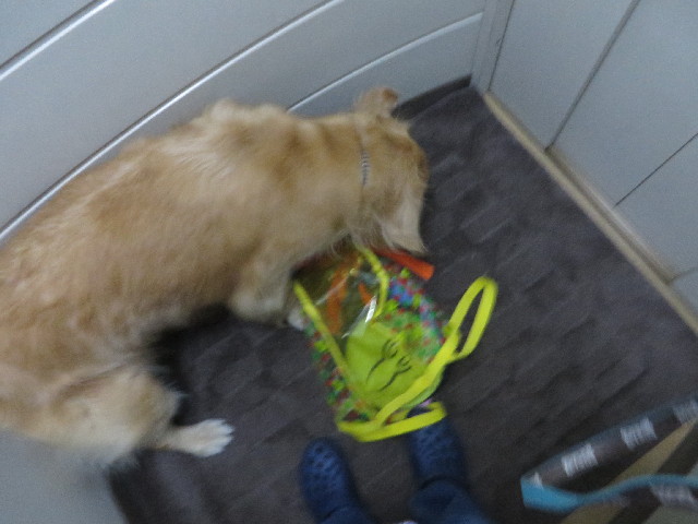 ファイル 4191-1.jpg