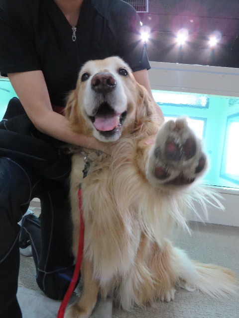 ファイル 4191-3.jpg