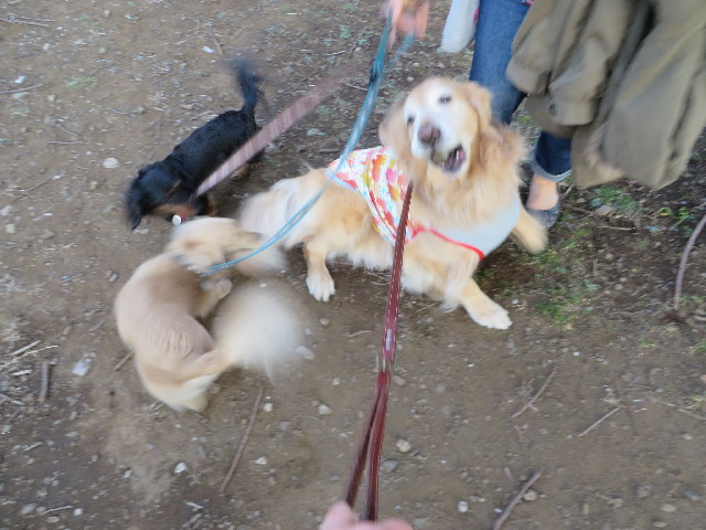 ファイル 4192-4.jpg