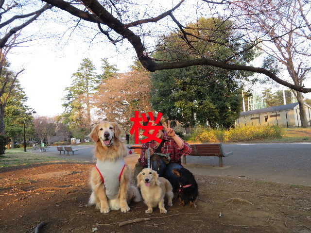 ファイル 4192-5.jpg