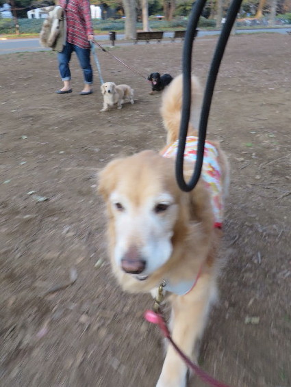 ファイル 4193-2.jpg