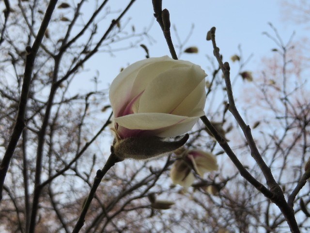 ファイル 4193-3.jpg