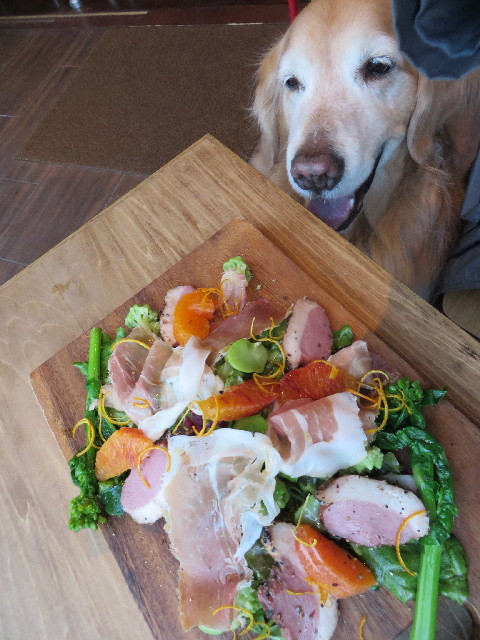 ファイル 4194-3.jpg