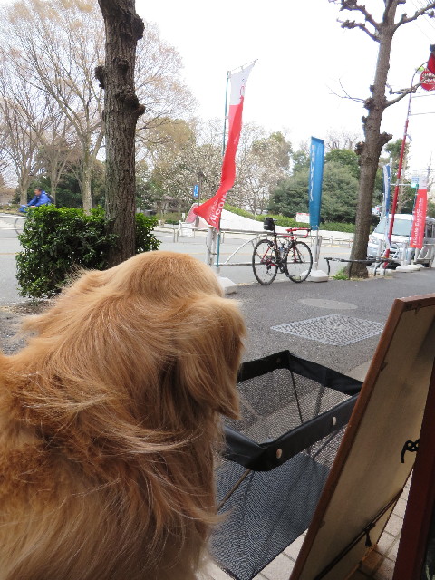 ファイル 4196-4.jpg