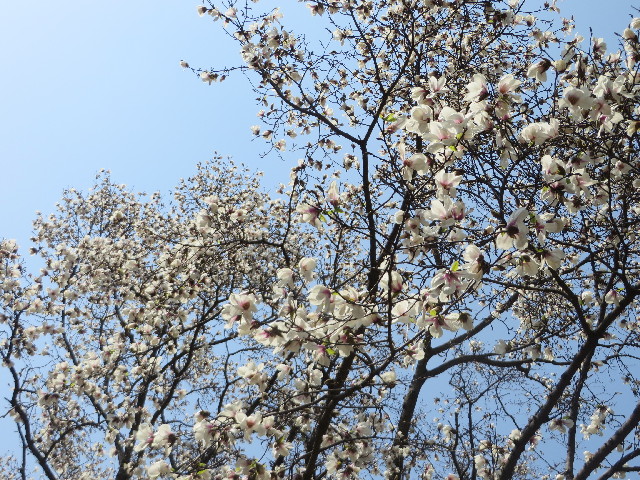 ファイル 4198-3.jpg