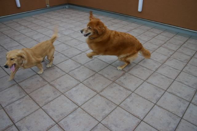 ファイル 42-1.jpg