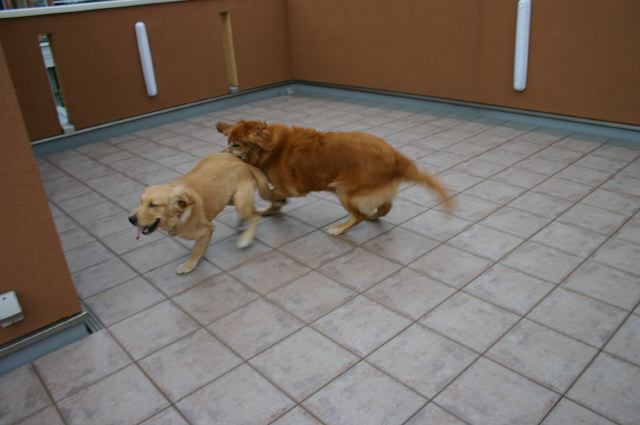 ファイル 42-2.jpg