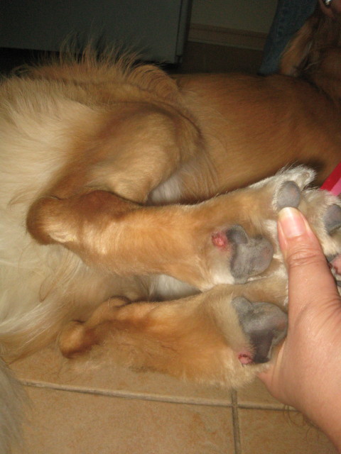 ファイル 420-1.jpg