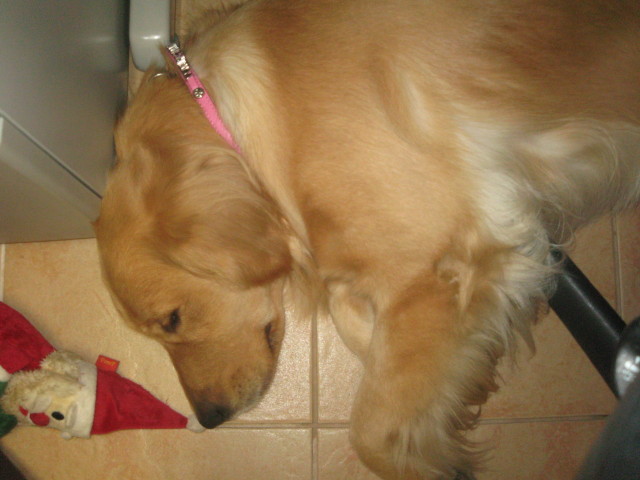 ファイル 420-5.jpg