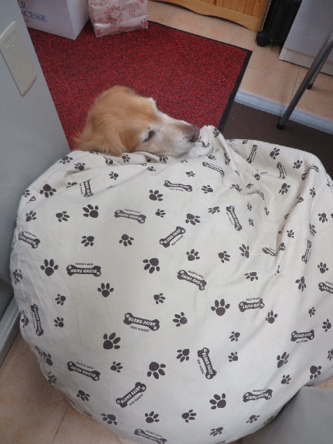 ファイル 4204-5.jpg