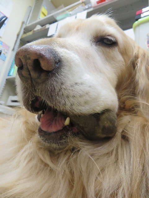 ファイル 4205-2.jpg