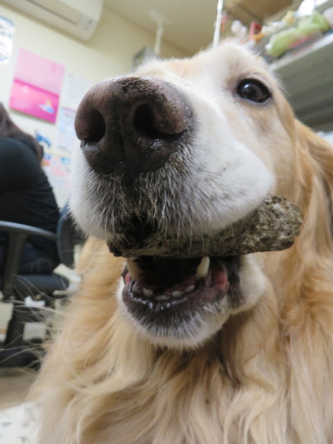 ファイル 4205-5.jpg