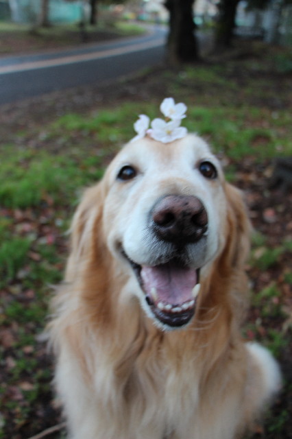 ファイル 4207-4.jpg