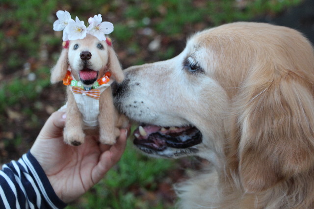 ファイル 4207-5.jpg