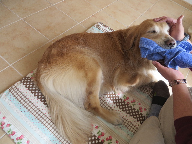 ファイル 4209-3.jpg