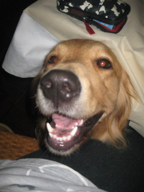 ファイル 421-1.jpg