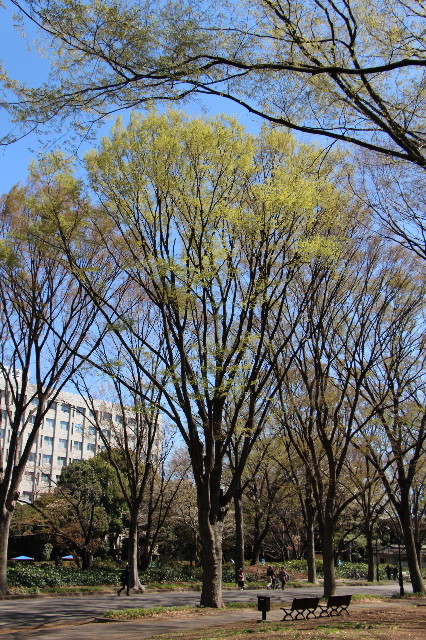 ファイル 4212-5.jpg