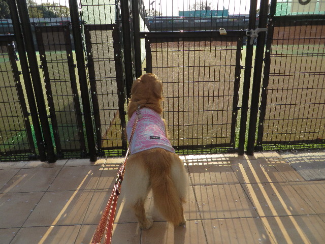 ファイル 4215-3.jpg