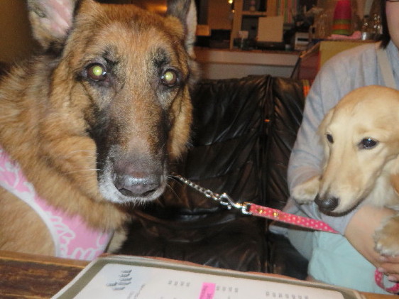 ファイル 4216-5.jpg