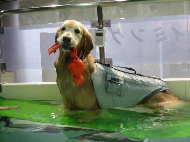 ファイル 4219-3.jpg