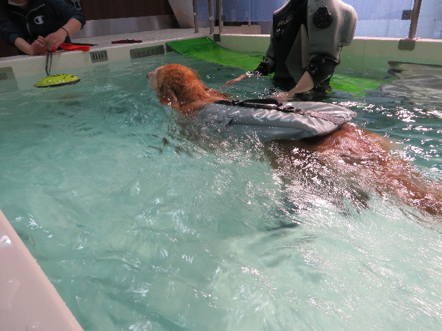 ファイル 4219-4.jpg