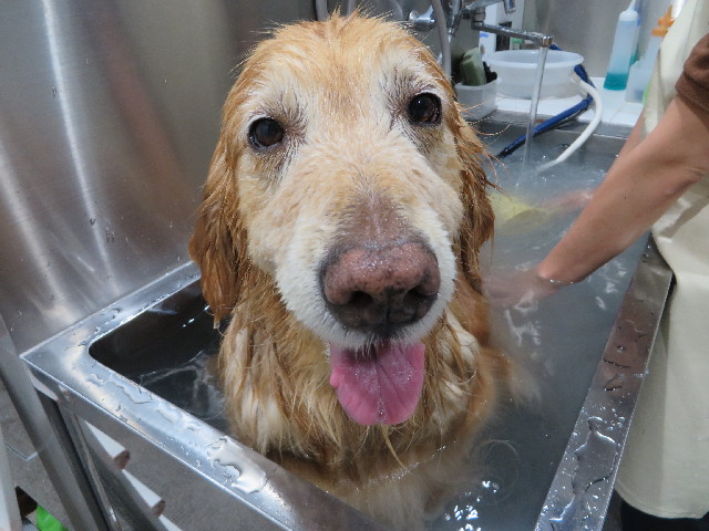 ファイル 4219-5.jpg