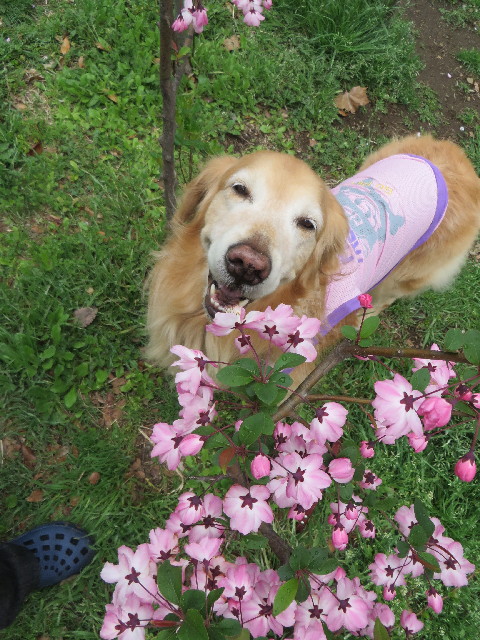 ファイル 4222-5.jpg