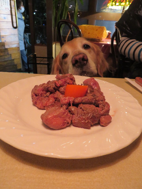 ファイル 4223-4.jpg