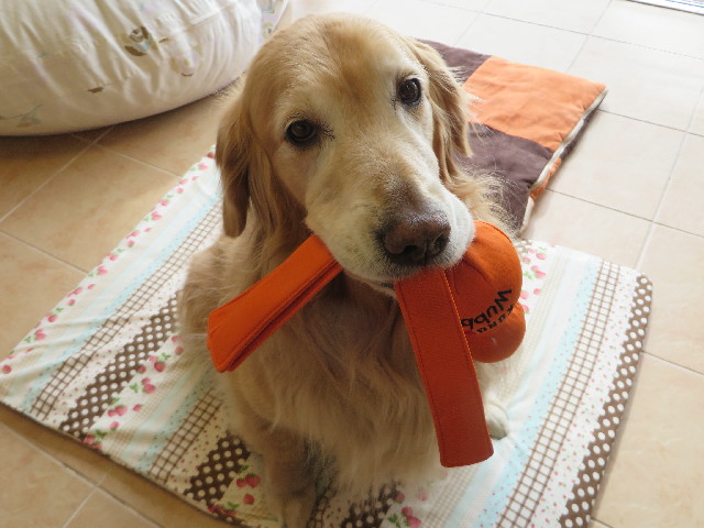 ファイル 4229-2.jpg