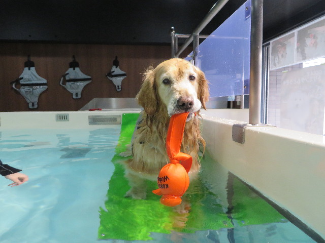 ファイル 4229-4.jpg