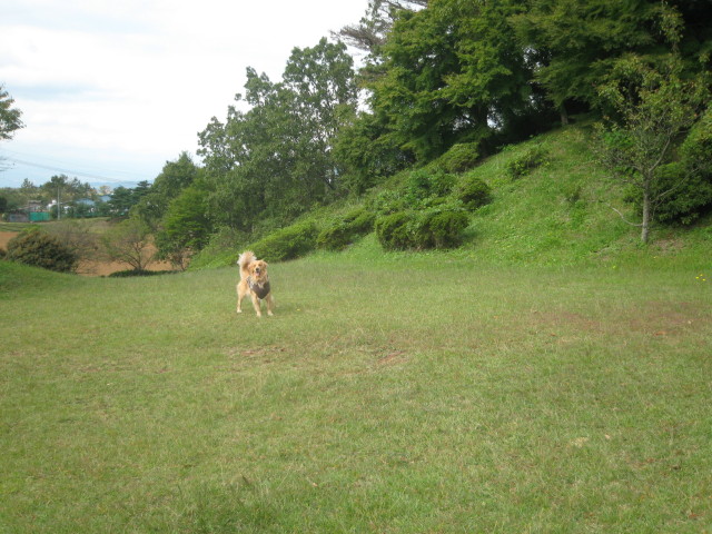 ファイル 423-1.jpg