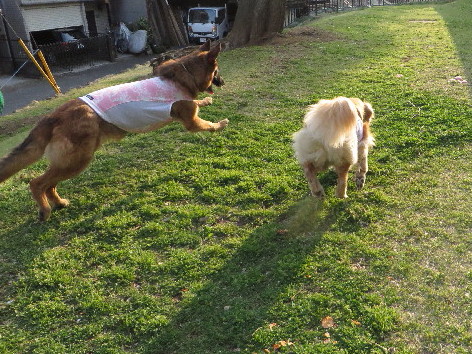 ファイル 4232-2.jpg