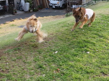 ファイル 4232-3.jpg