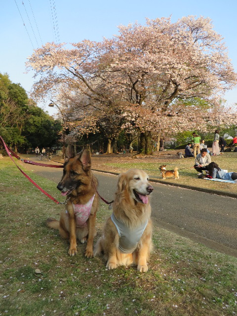 ファイル 4232-5.jpg