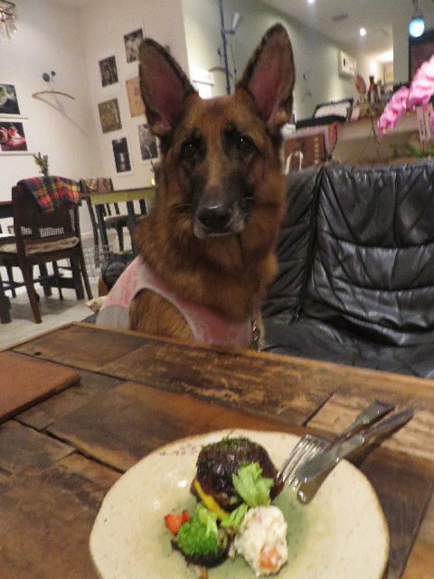 ファイル 4233-5.jpg