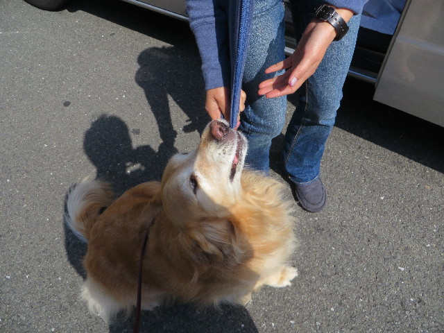 ファイル 4235-1.jpg