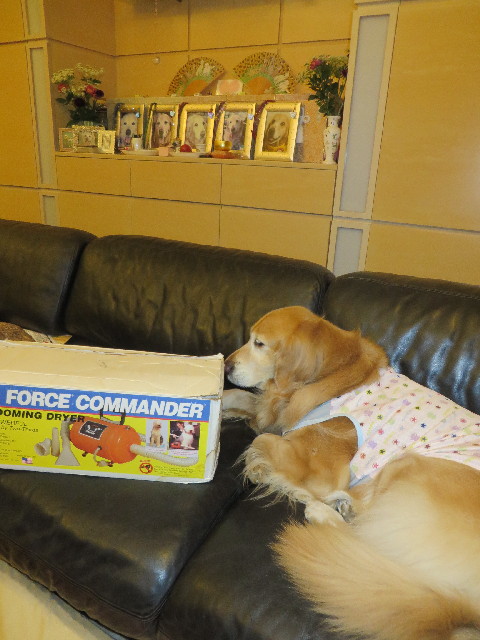 ファイル 4239-5.jpg