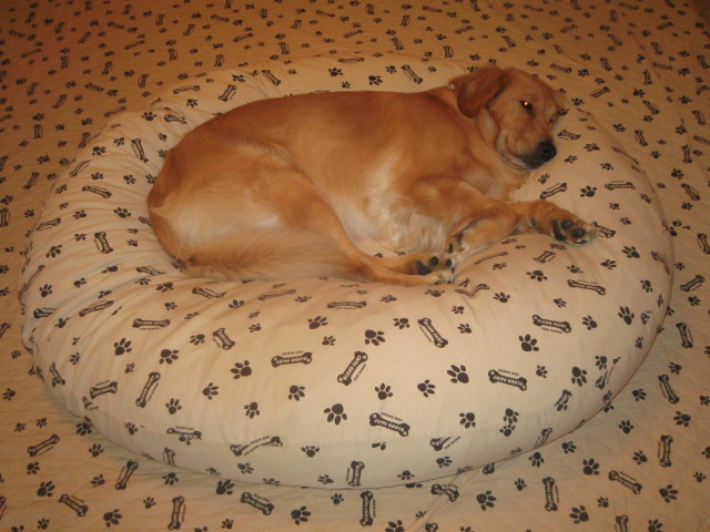 ファイル 424-1.jpg